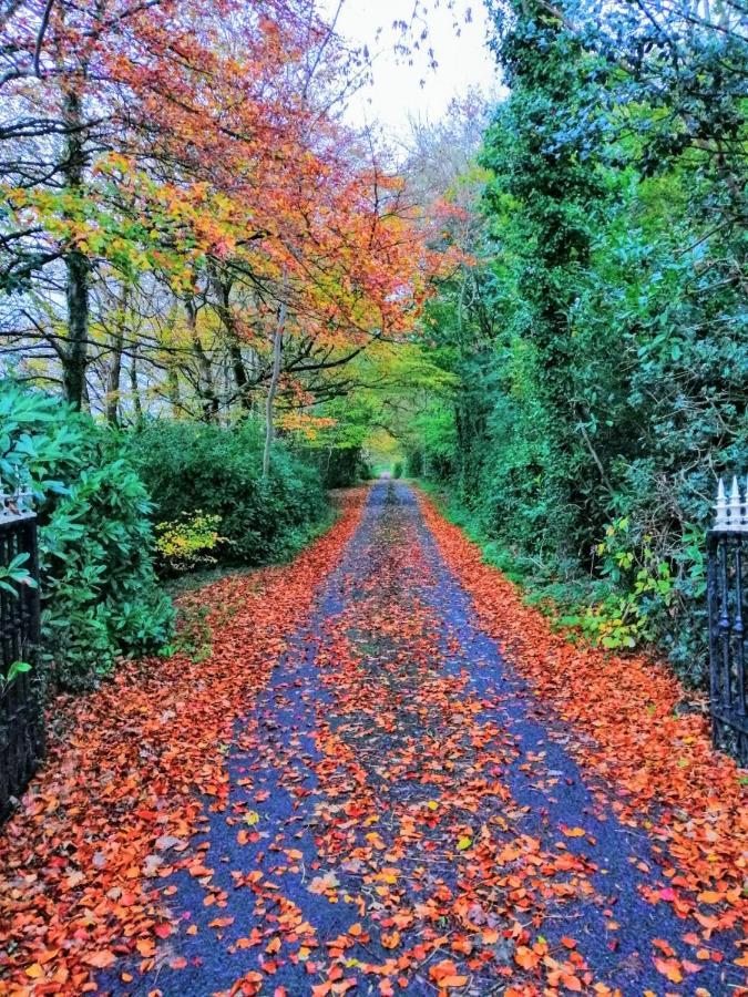 O'Harabrook Country House Ballymoney Esterno foto