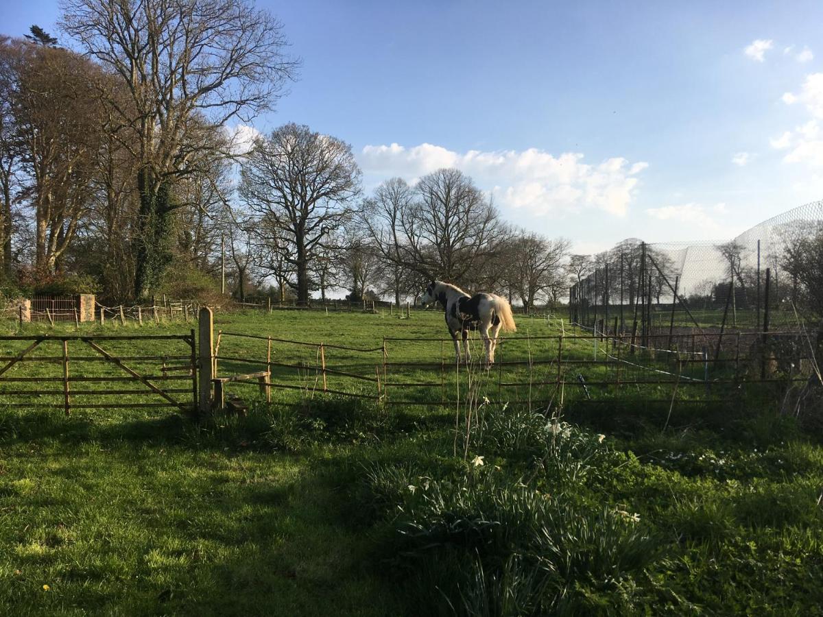 O'Harabrook Country House Ballymoney Esterno foto