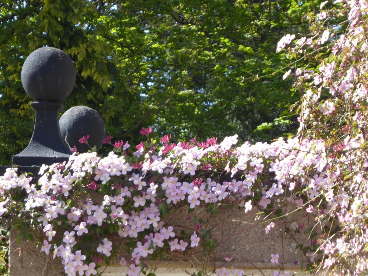 O'Harabrook Country House Ballymoney Esterno foto