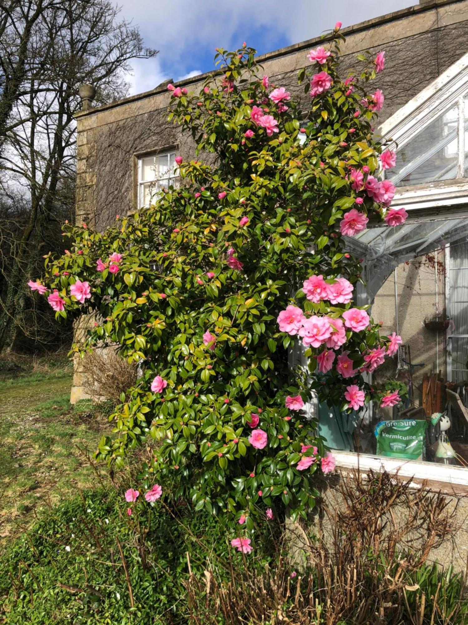 O'Harabrook Country House Ballymoney Esterno foto