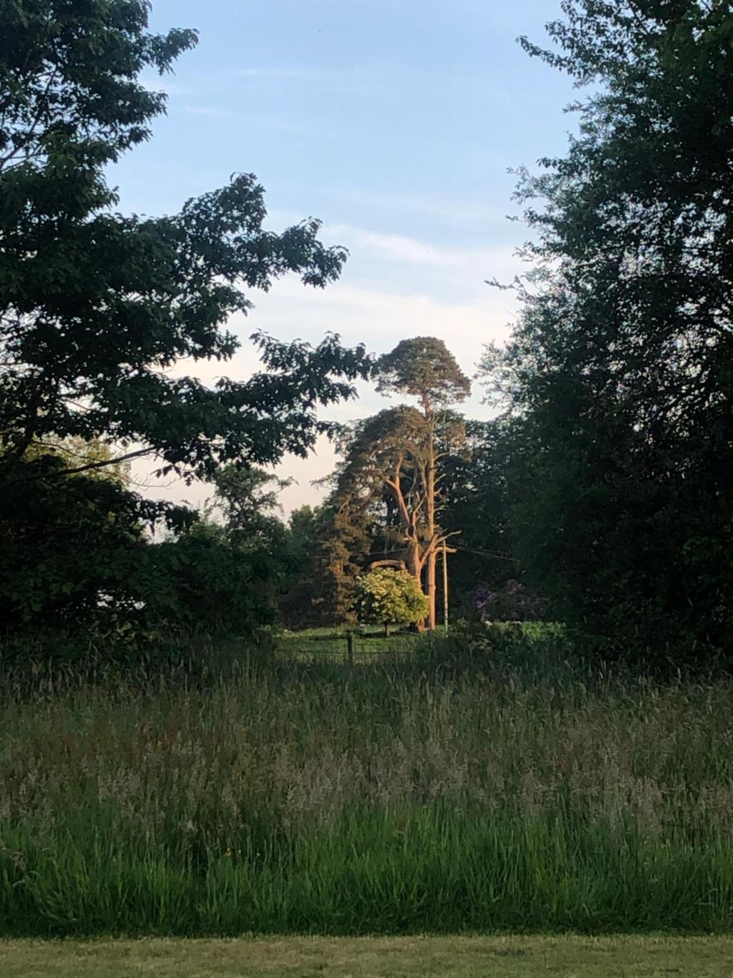 O'Harabrook Country House Ballymoney Esterno foto