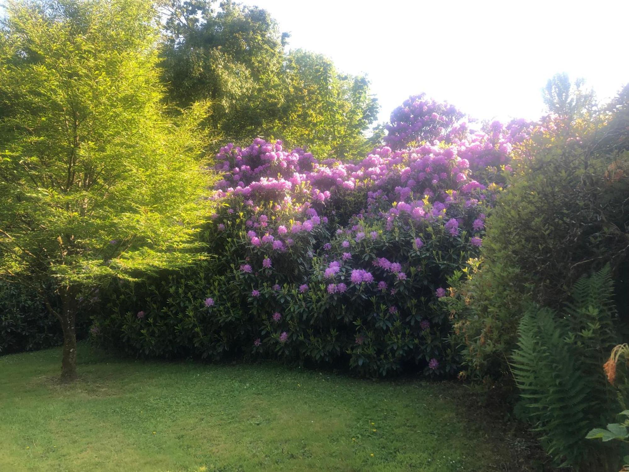 O'Harabrook Country House Ballymoney Esterno foto